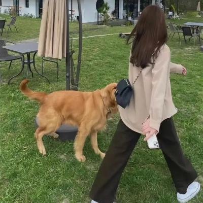 人造天劫